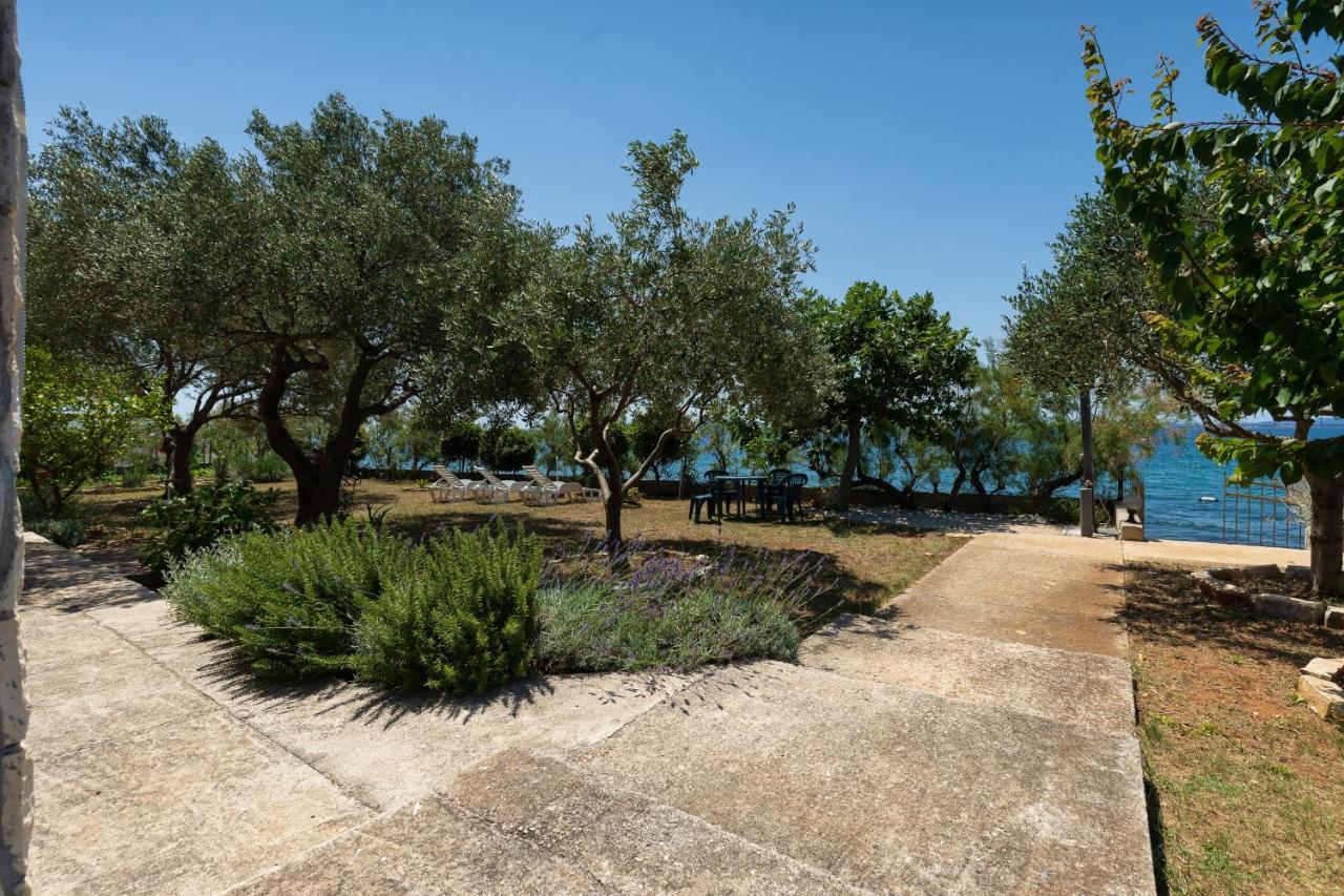 Family Friendly Seaside Apartments Kozino, Zadar - 5756 Petrcane Eksteriør bilde